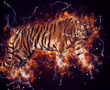 Kaplan sanat çizimi eski çizim