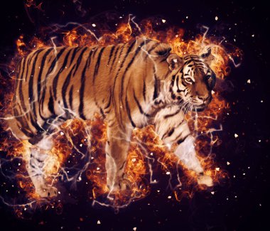 Kaplan sanat çizimi eski çizim