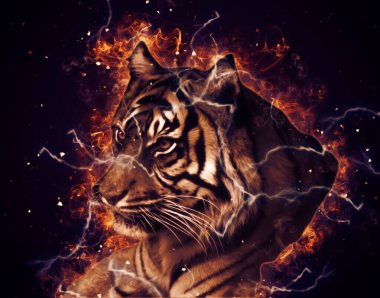 Kaplan sanat çizimi eski çizim