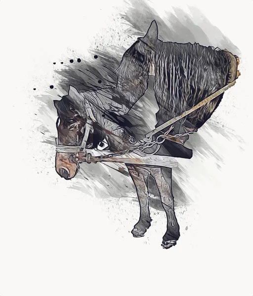 Pintura Grunge Ilustração Cavalo Colorido Arte — Fotografia de Stock