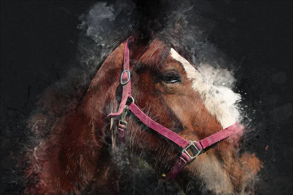 Colorful Horse Art Illustration Grunge Painting — Stock Photo, Image