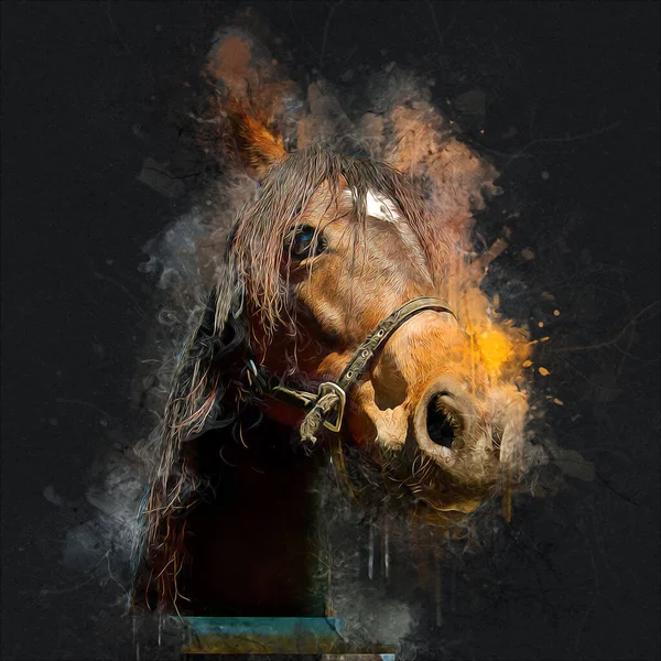 Colorful Horse Art Illustration Grunge Painting — Stock Photo, Image