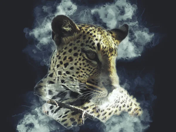ナミビアのヒョウ イラスト アート ヴィンテージ レトロな アンティーク図面のスケッチ — ストック写真