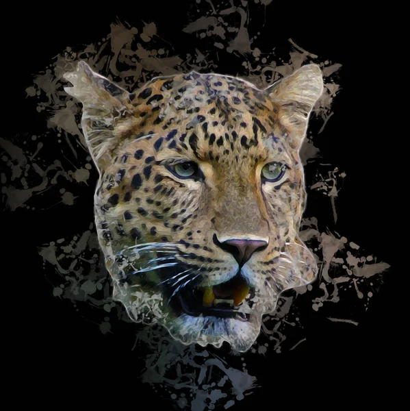 纳米比亚的豹 古画草图 — 图库照片