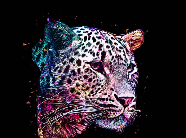 Leopard Namibii Ilustrace Umění Vinobraní Retro Starožitné Kreslení Náčrtku — Stock fotografie