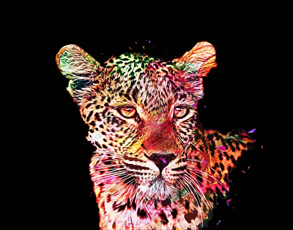 Leopardo Namíbia Ilustração Arte Vintage Retro Desenho Antigo Pintura Esboço — Fotografia de Stock