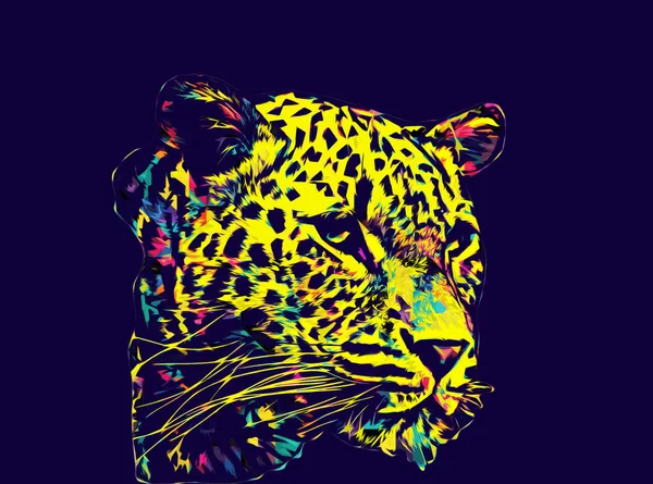 Leopard Namibii Ilustrace Umění Vinobraní Retro Starožitné Kreslení Náčrtku — Stock fotografie