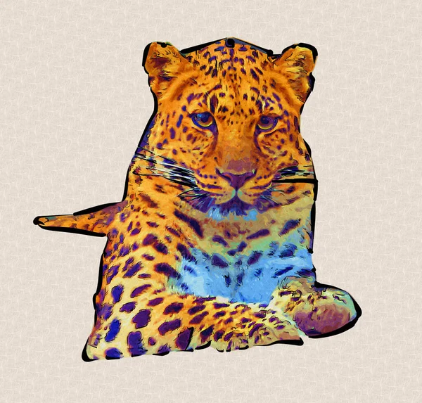 Leopardo Namibia Ilustración Arte Vintage Retro Dibujo Antiguo Dibujo Dibujo —  Fotos de Stock