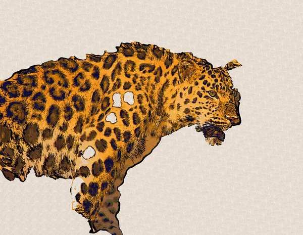 Leopard Namibii Ilustrace Umění Vinobraní Retro Starožitné Kreslení Náčrtku — Stock fotografie