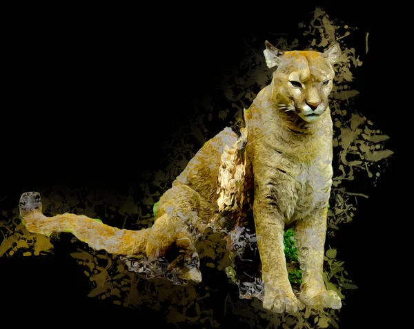 Puma Puma Portré Elszigetelt Háttér Illusztráció Művészet Szüret Retro Antik — Stock Fotó