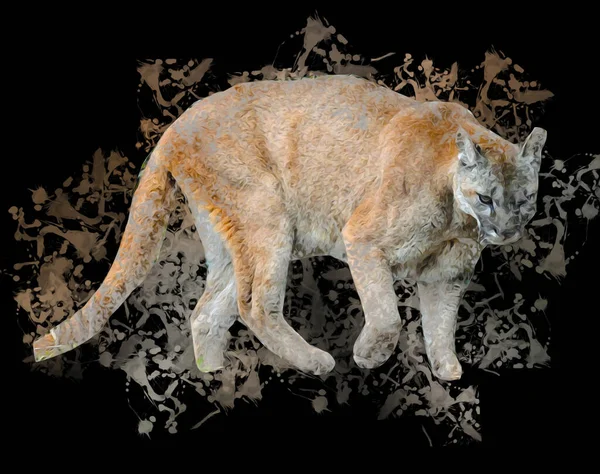 Puma Retrato Puma Aislado Fondo Ilustración Arte Vendimia Retro Dibujo — Foto de Stock