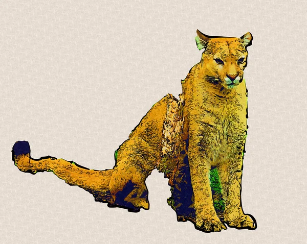 Πούμα Cougar Πορτρέτο Που Απομονώνονται Στο Παρασκήνιο Εικονογράφηση Τέχνη Ρετρό — Φωτογραφία Αρχείου
