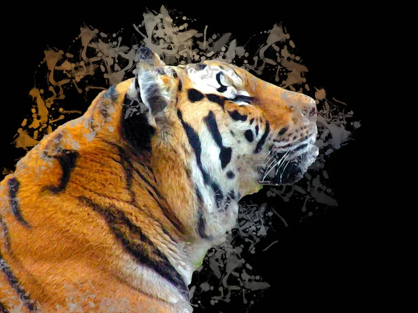 Tiger Art Illustration Old Drawing — Stock Photo, Image