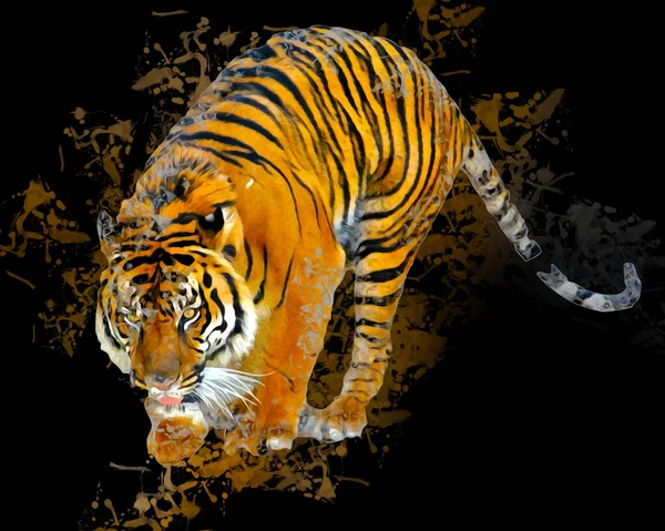 Tigre Arte Illustrazione Vecchio Disegno — Foto Stock