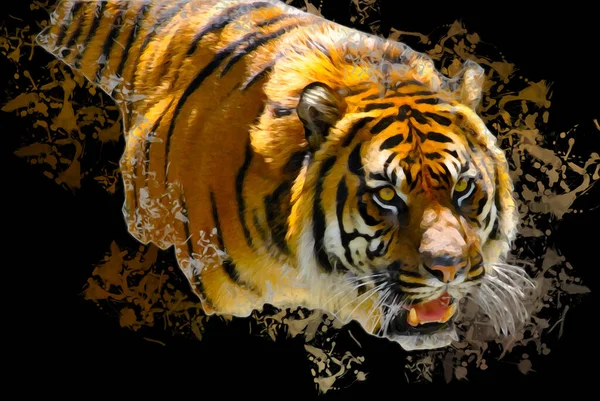 Иллюстрация Тигра — стоковое фото