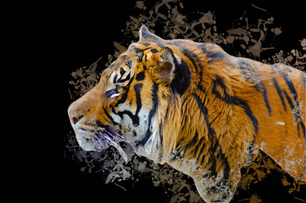 Иллюстрация тигра
