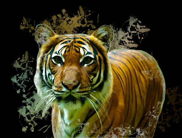 Tigre Art Illustration Vieux Dessin — Photo