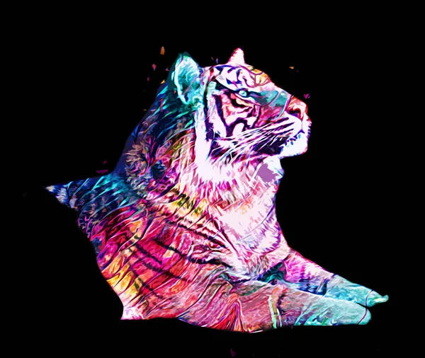 Tigre Arte Ilustração Velho Desenho — Fotografia de Stock