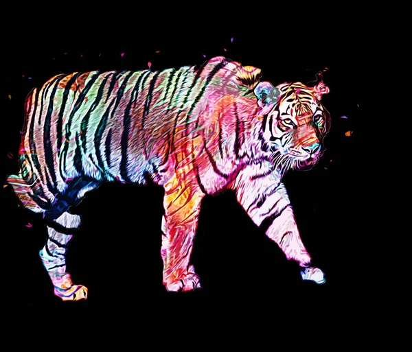 Tygrys Sztuka Ilustracja Stary Rysunek — Zdjęcie stockowe