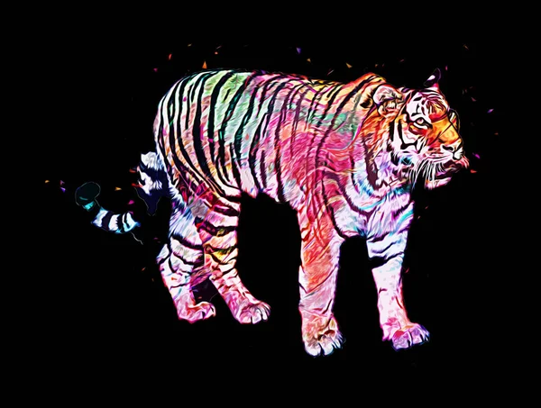 Tigre Art Illustration Vieux Dessin — Photo