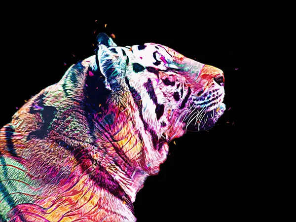 Tiger Art Illustration Old Drawing — Stock Photo, Image