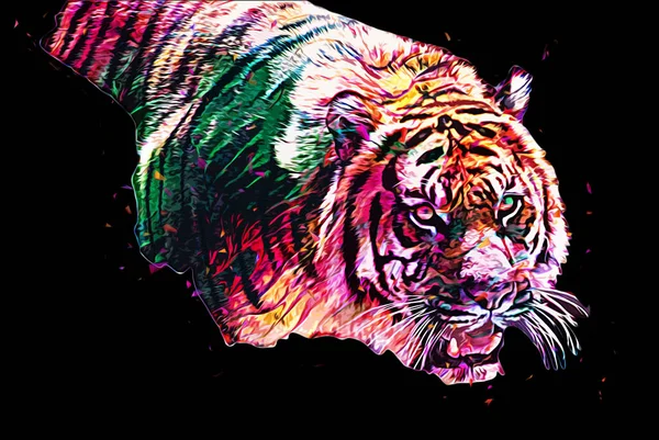 Tigre Art Illustration Vieux Dessin — Photo