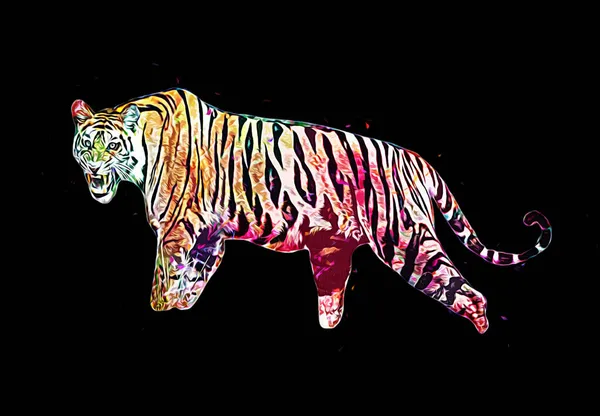 Tiger Arte Ilustración Viejo Dibujo — Foto de Stock