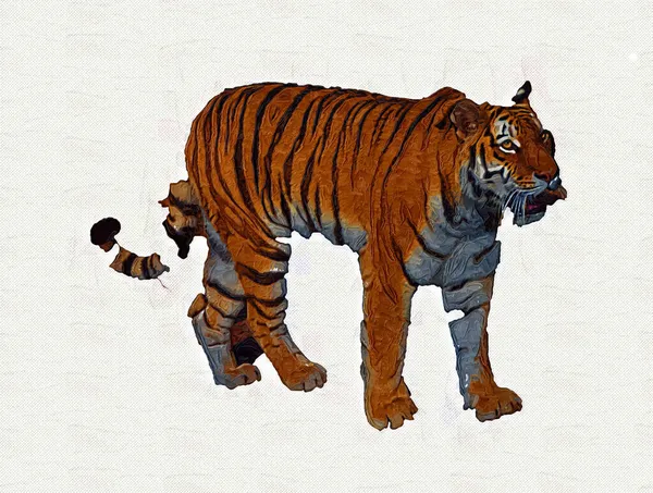 Tigre Art Illustration Vieux Dessin — Photo