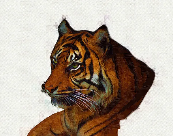 Tiger Konst Illustration Gammal Teckning — Stockfoto