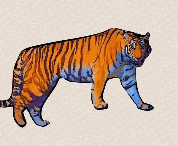 Tiger Art Illustration Old Drawing — Stock Photo, Image