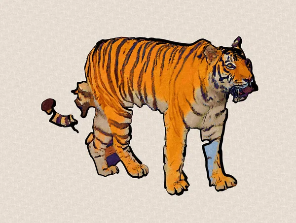 tiger art illustration old drawing