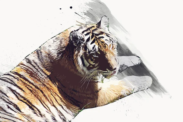 Tiger Art Illustration Old Drawing — Stock Photo, Image