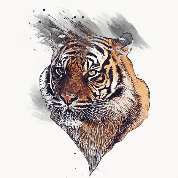 tiger art illustration old drawing