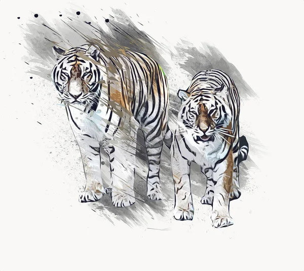Τίγρης Τέχνη Απεικόνιση Παλιό Σχέδιο — Φωτογραφία Αρχείου