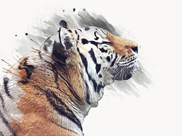 Tigre Arte Ilustração Velho Desenho — Fotografia de Stock