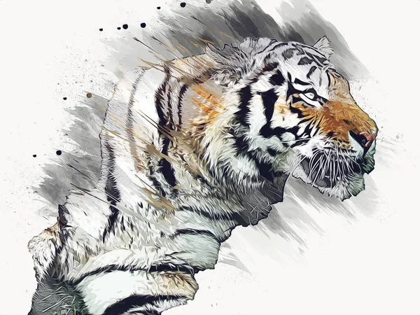 Tiger Art Illustration Alte Zeichnung — Stockfoto