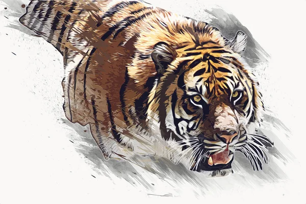 Τίγρης Τέχνη Απεικόνιση Παλιό Σχέδιο — Φωτογραφία Αρχείου