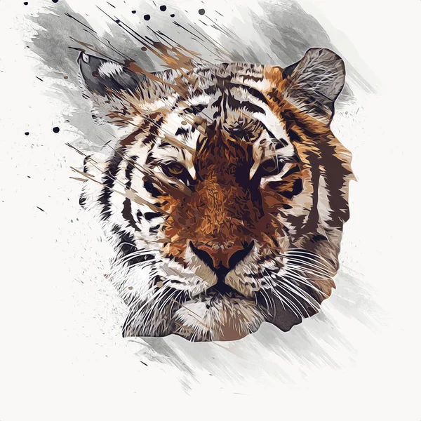 Tigre Arte Ilustração Velho Desenho — Fotografia de Stock