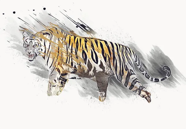 Tiger Art Illustration Old Drawing — Stock Photo, Image