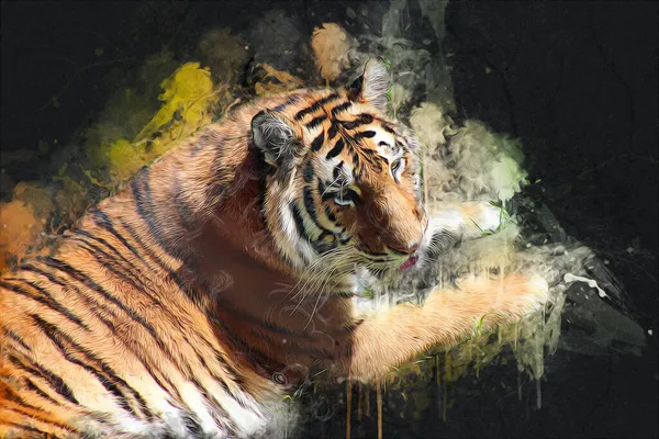 Tygrys Sztuka Ilustracja Stary Rysunek — Zdjęcie stockowe