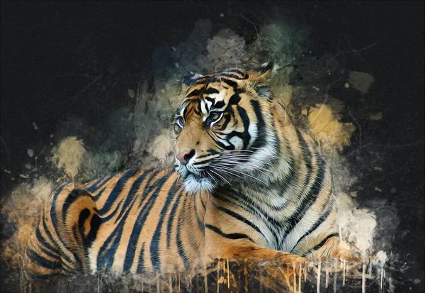 Tiger Arte Ilustración Viejo Dibujo —  Fotos de Stock