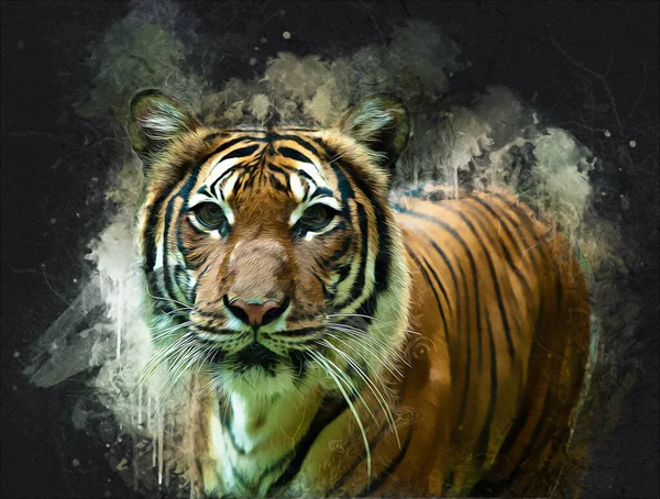 Tiger Art Illustration Alte Zeichnung — Stockfoto