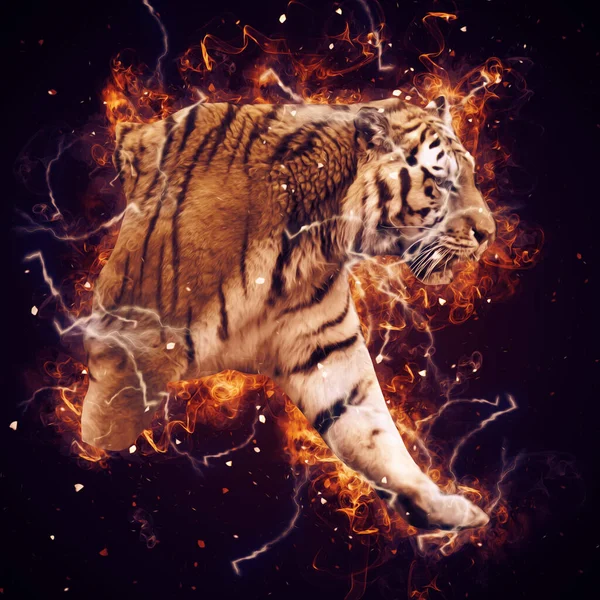 Tiger Art Illustration Alte Zeichnung — Stockfoto