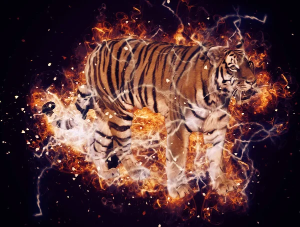 Tiger Art Illustration Alte Zeichnung — Stockfoto