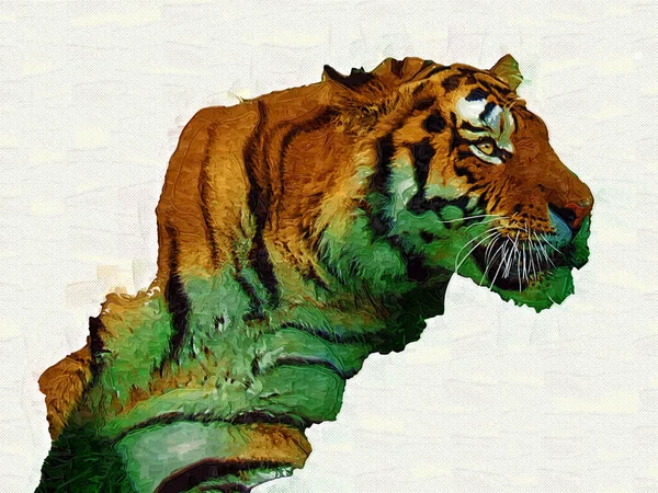 Tigre Arte Ilustração Velho Desenho — Fotografia de Stock