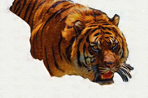 Tiger Art Illustration Old Drawing — Stock Photo, Image