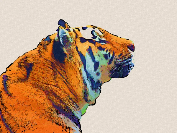 Tiger Art Illustration Old Drawing — Stock Photo, Image