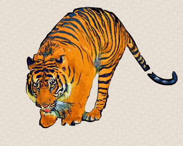 Tiger Art Illustration Old Drawing — Stock Photo, Image