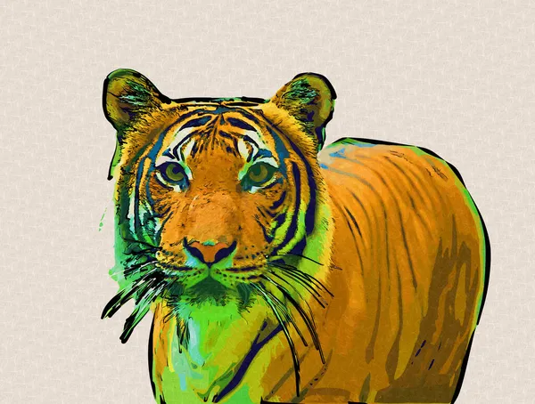 Tiger Arte Ilustración Viejo Dibujo —  Fotos de Stock