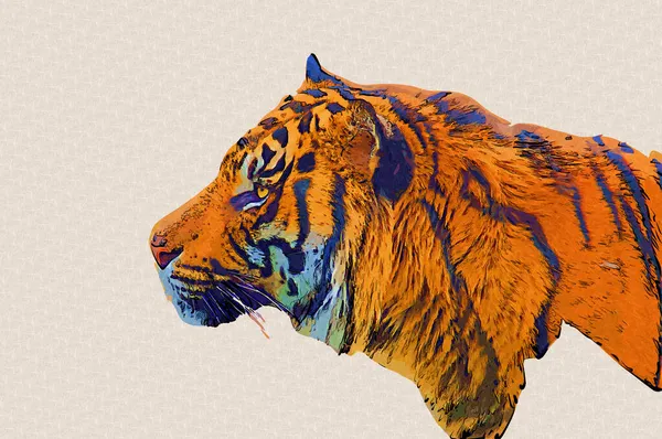 Tigris Művészet Illusztráció Régi Rajz — Stock Fotó